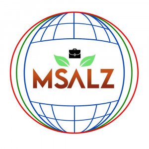 msalzsalt