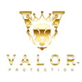 Valor Protection Safety Agency