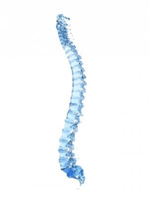 North Brunswick Chiropractic