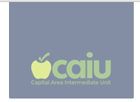 CAPITAL AREA INTERMEDIATE UNIT