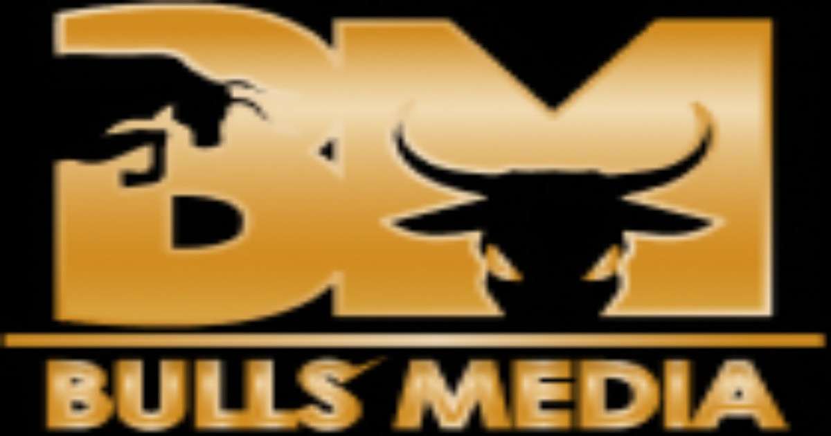 Bulls Media