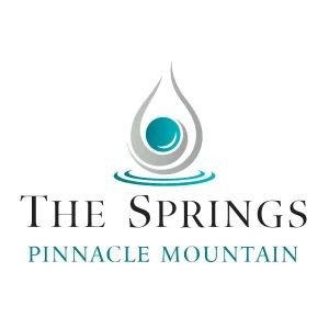 The Springs of Pinnacle Mountain