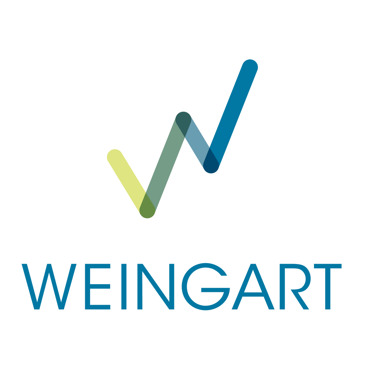 WEINGART CENTER ASSOCIATION