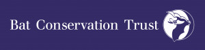 Bat Conservation Trust image