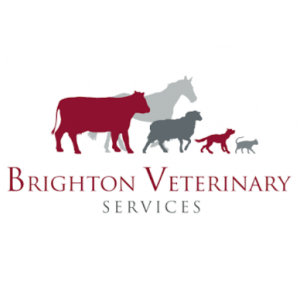 Brighton Veterinary Services