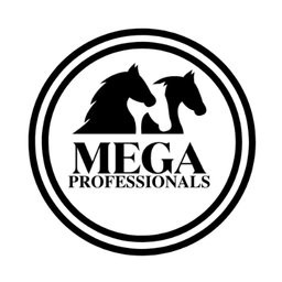 MEGA PROFESSIONALS