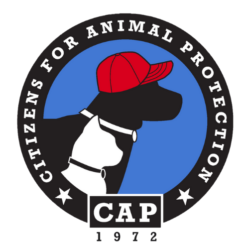 Citizens for Animal Protection