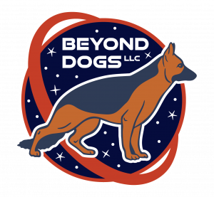 Beyond Dogs LLC
