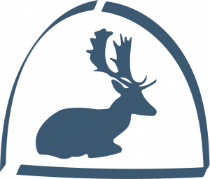 New Park Consultancy Ltd