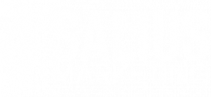 Salius Marketing Inc