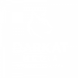 Darkat Media Ltd
