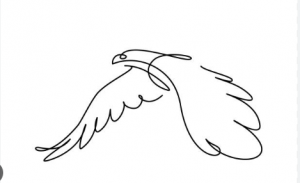 idsa