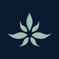 The Cannabist Company