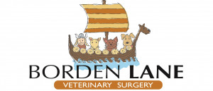 Borden Lane Vets
