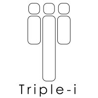 Triple-i Government Solutions