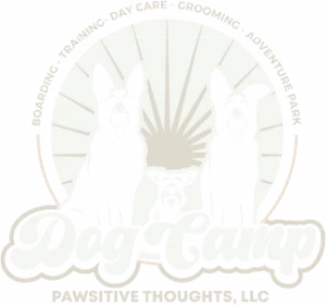 Dog Camp Pet Resort