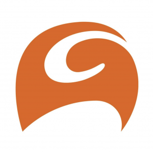 Arcadis