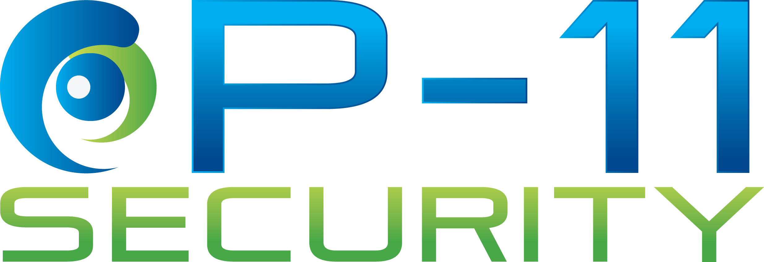 P-11 SECURITY