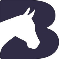 Bransby Horses - Rescue and Welfare