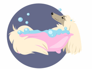 Coat and Claw Dog Spa