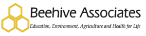 Beehive Associates Limited