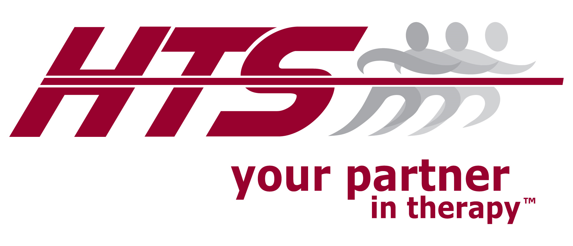 Healthcare Therapy Services, Inc