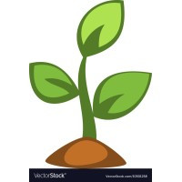 HerbSprout.com blog & podcast  (MZinger LLC)