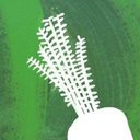 Riverford Organic Farmers Ltd