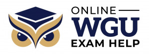 Online WGU Exam Help