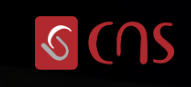 CNS Middle East