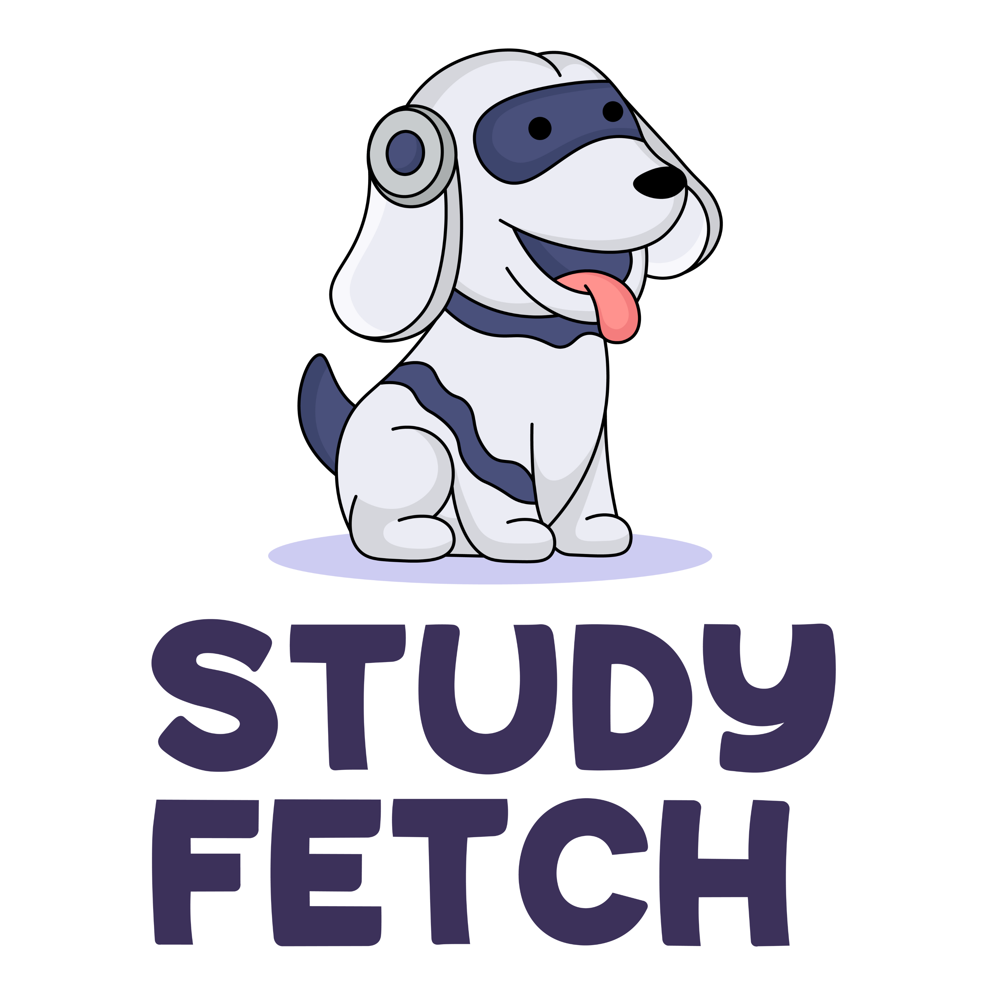 StudyFetch