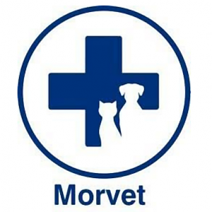 Moruya Animal Hospital