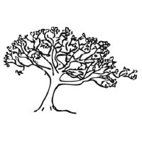 Silver Maple Construction