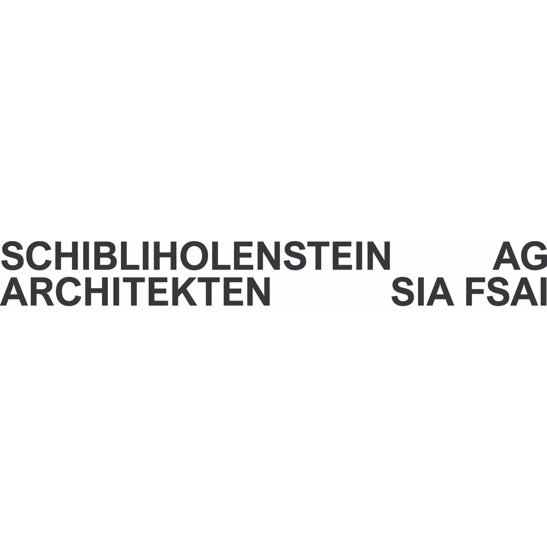 schibliholenstein ag