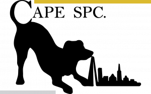 CAPE SPC