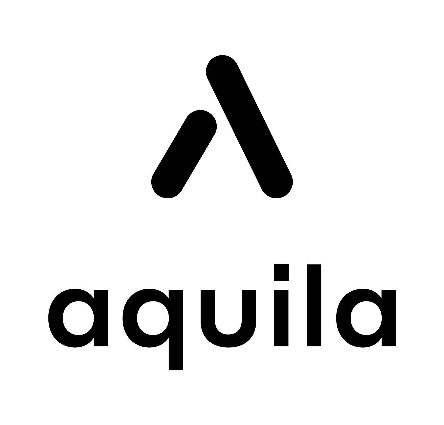 Aquila Software Group