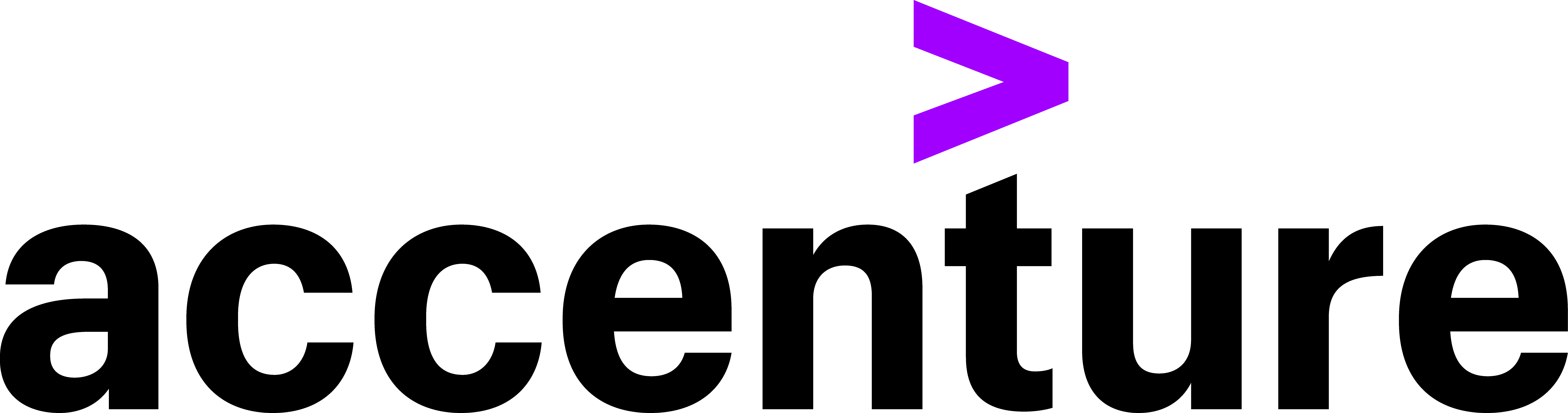 Accenture Infrastructure and Capital Projects, LLC