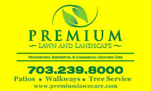 Premium Lawn and Landscape