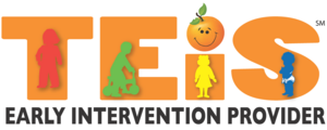 TEIS Early Intervention Provider