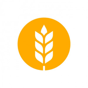 Food Impact Partners Client