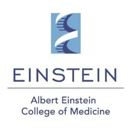 Albert Einstein College of Medicine