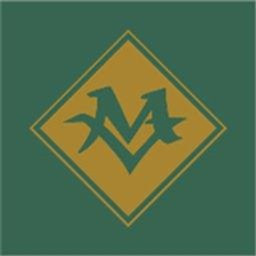 MOUNTAIN VIEW HOSPITAL LLC