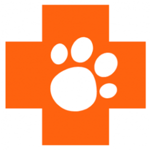 Eltham Veterinary Practice