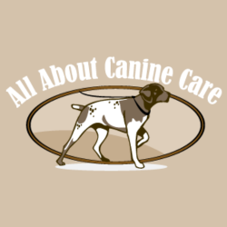 All About Canine Care