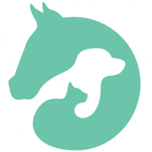 Animal Dermatology Clinic Perth