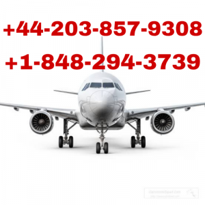 12 Ways to Get United to Respond Quickly?