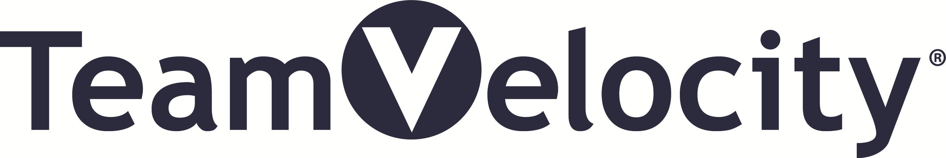 TEAM VELOCITY MARKETING