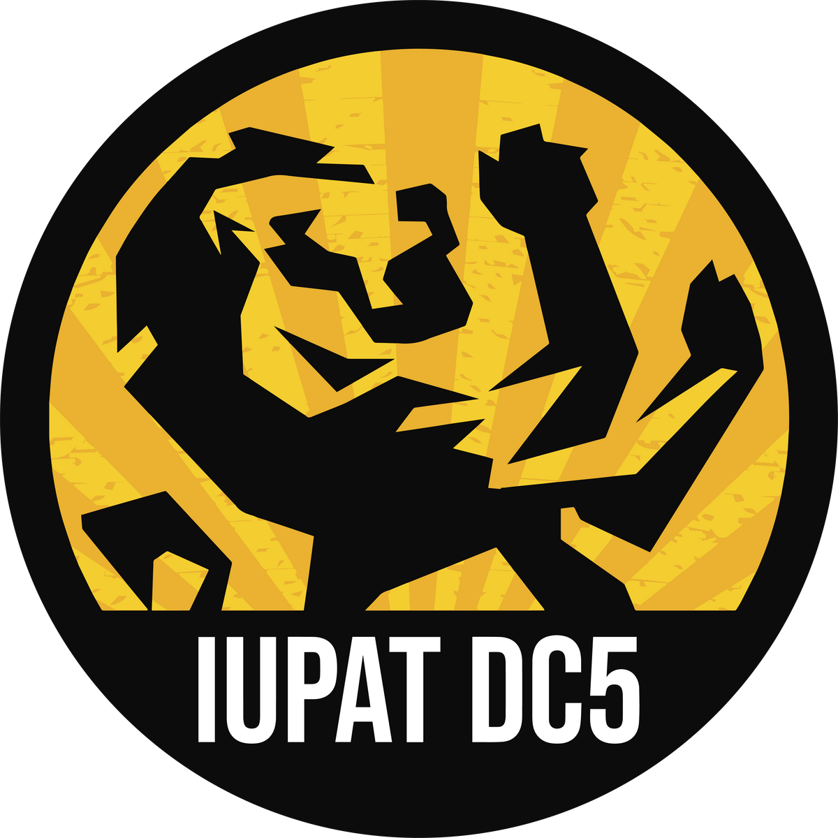 International Union of Painters and Allied Trades, District Council 5