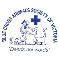 Blue Cross Animals Society of Victoria