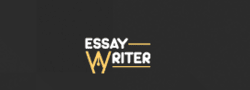 essay writer ie